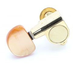 Takamine MECANIQUE FOLK DROITE GOLD BOU.ECAI MFD158GEC - Vue 1